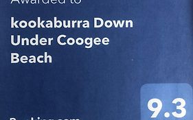 Kookaburra Down Under Coogee Beach